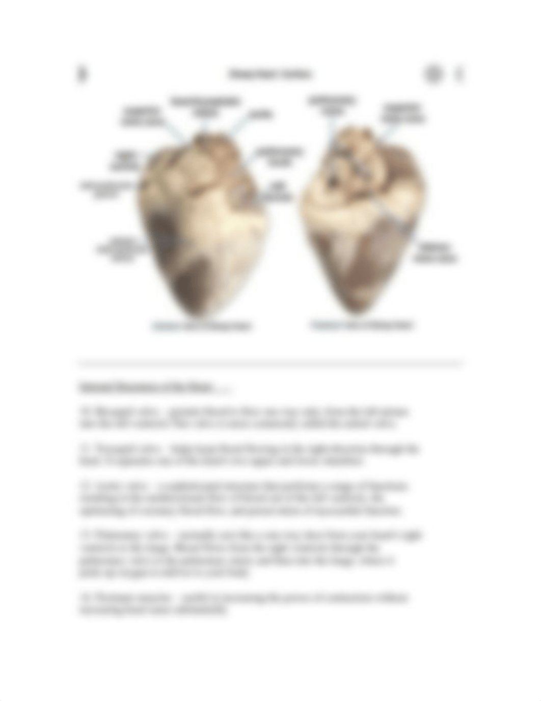 LTemple_HeartLab.pdf_d001fqyevhd_page2