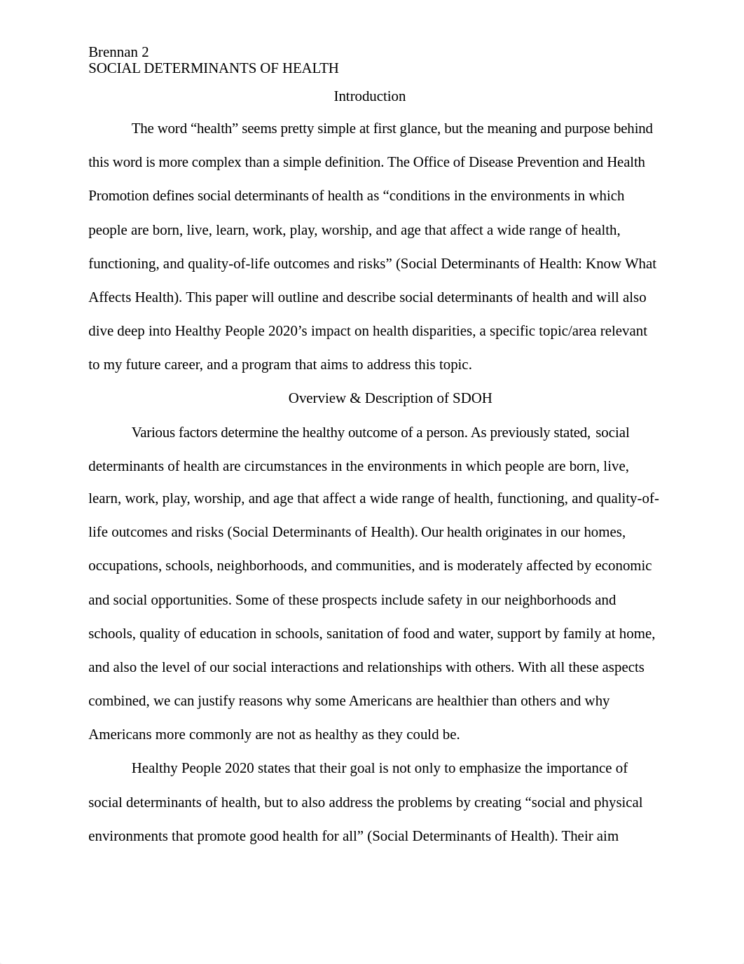 Health assess. social determinants paper.docx_d0089u4fipt_page2