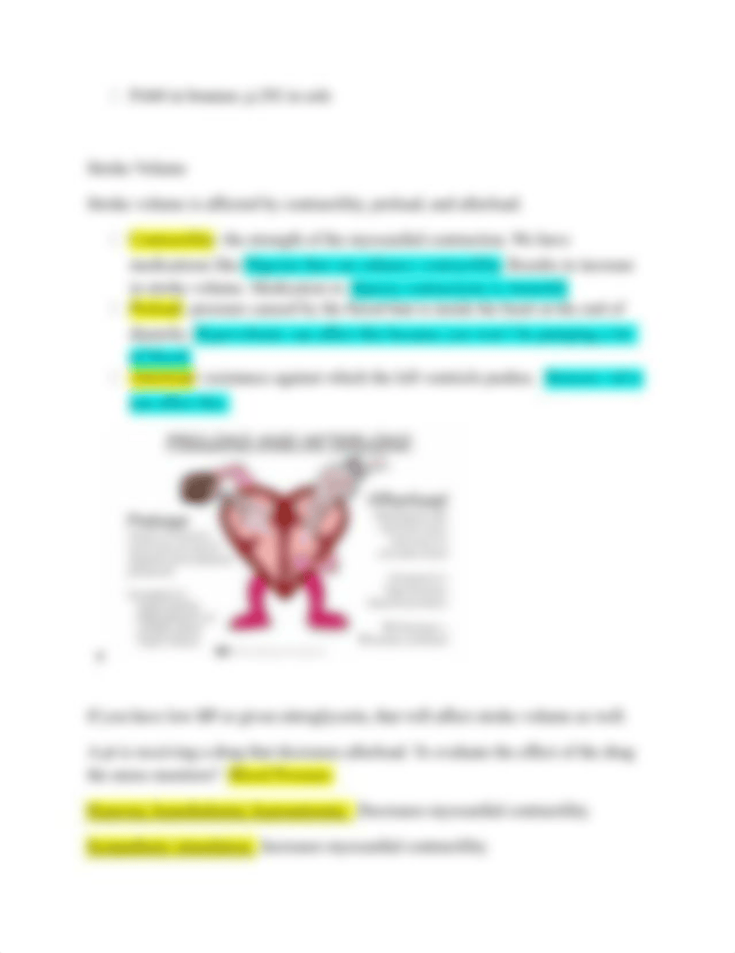 Assessment of the Cardiovascular System.docx_d00h4pjhehv_page5