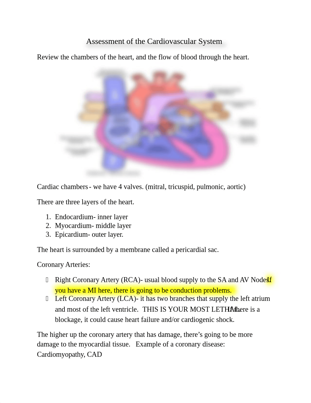 Assessment of the Cardiovascular System.docx_d00h4pjhehv_page1