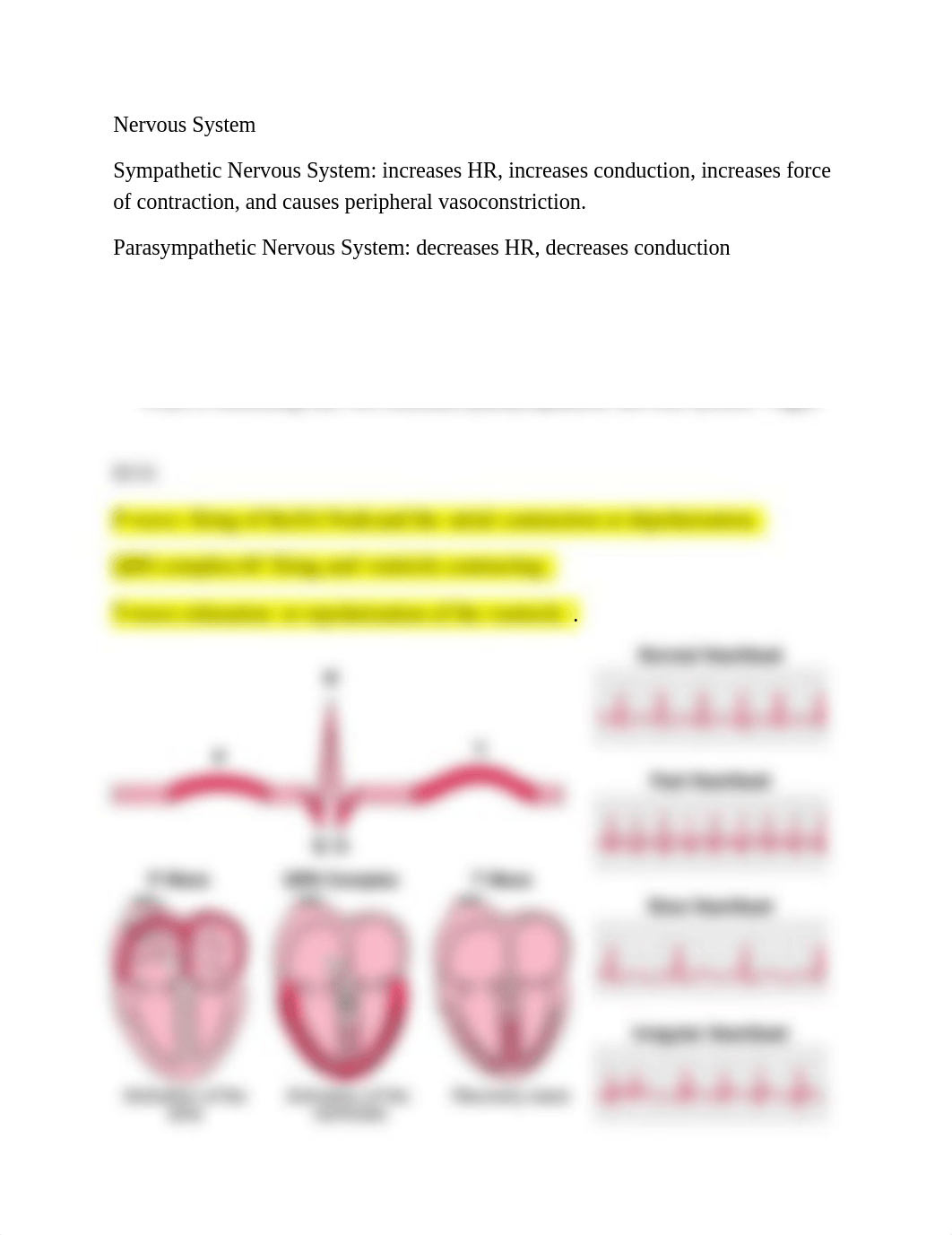 Assessment of the Cardiovascular System.docx_d00h4pjhehv_page3