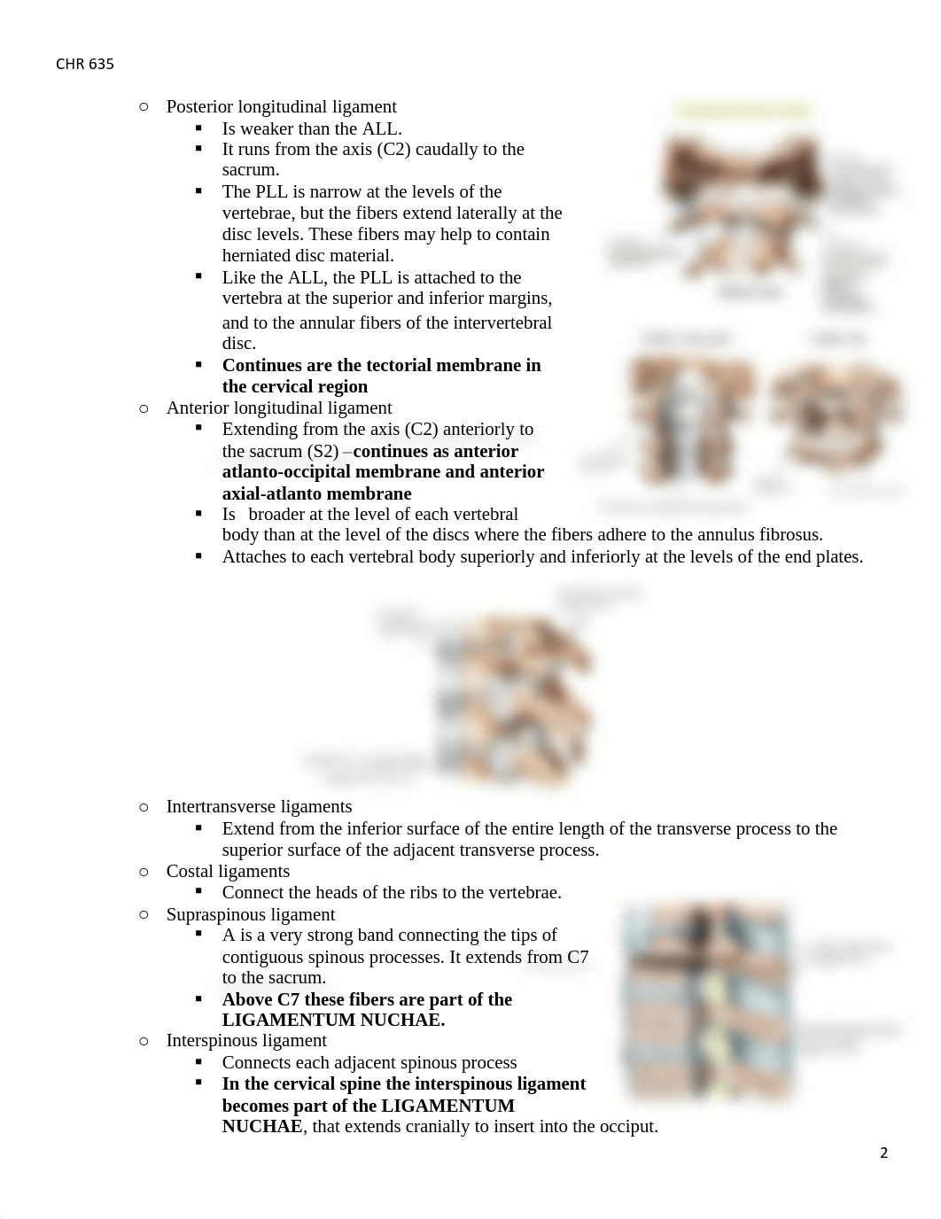 Final Exam Review (CHR 635) (2).pdf_d00i0ei2a7c_page2