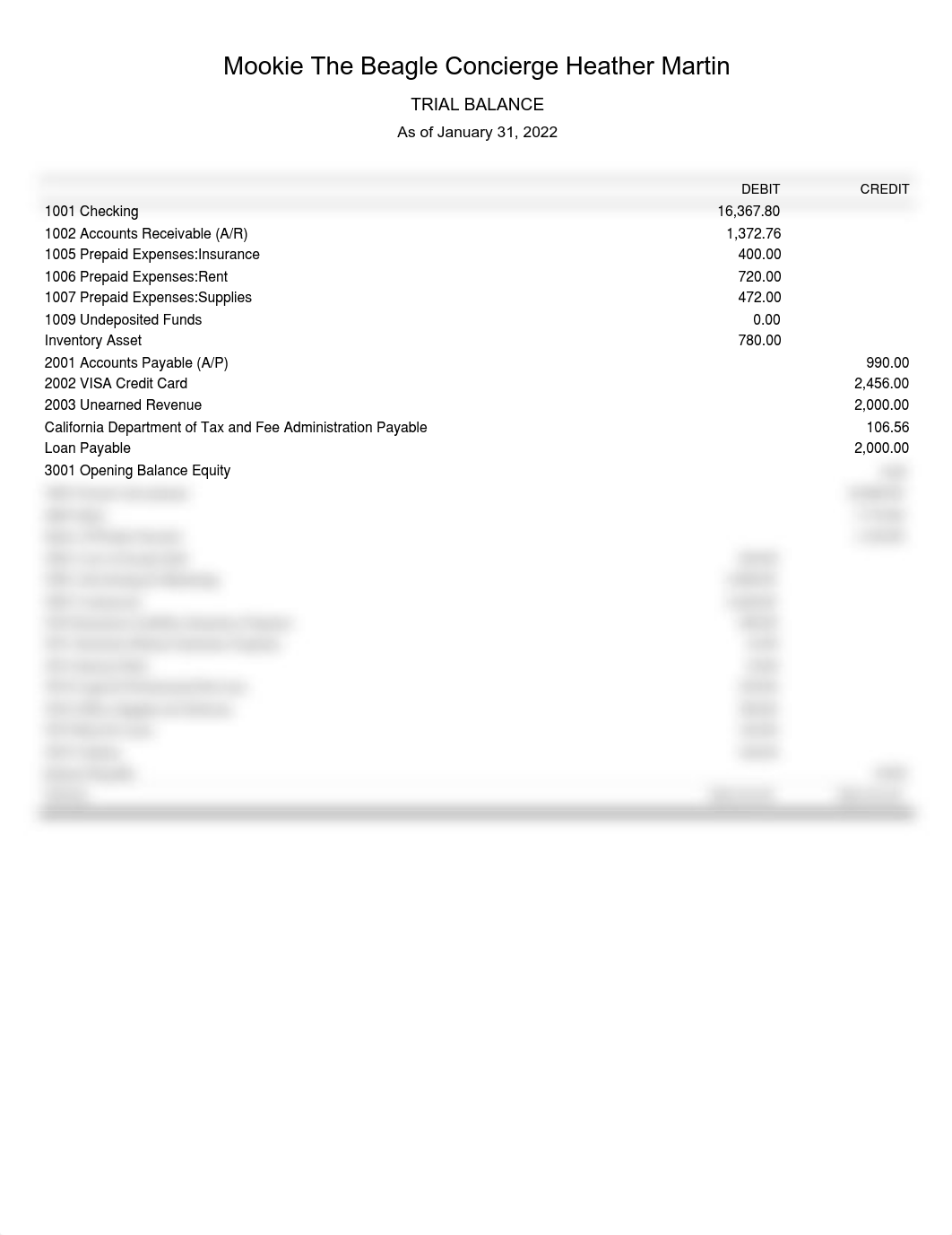 TrialBalance.pdf_d012xu5afjy_page1