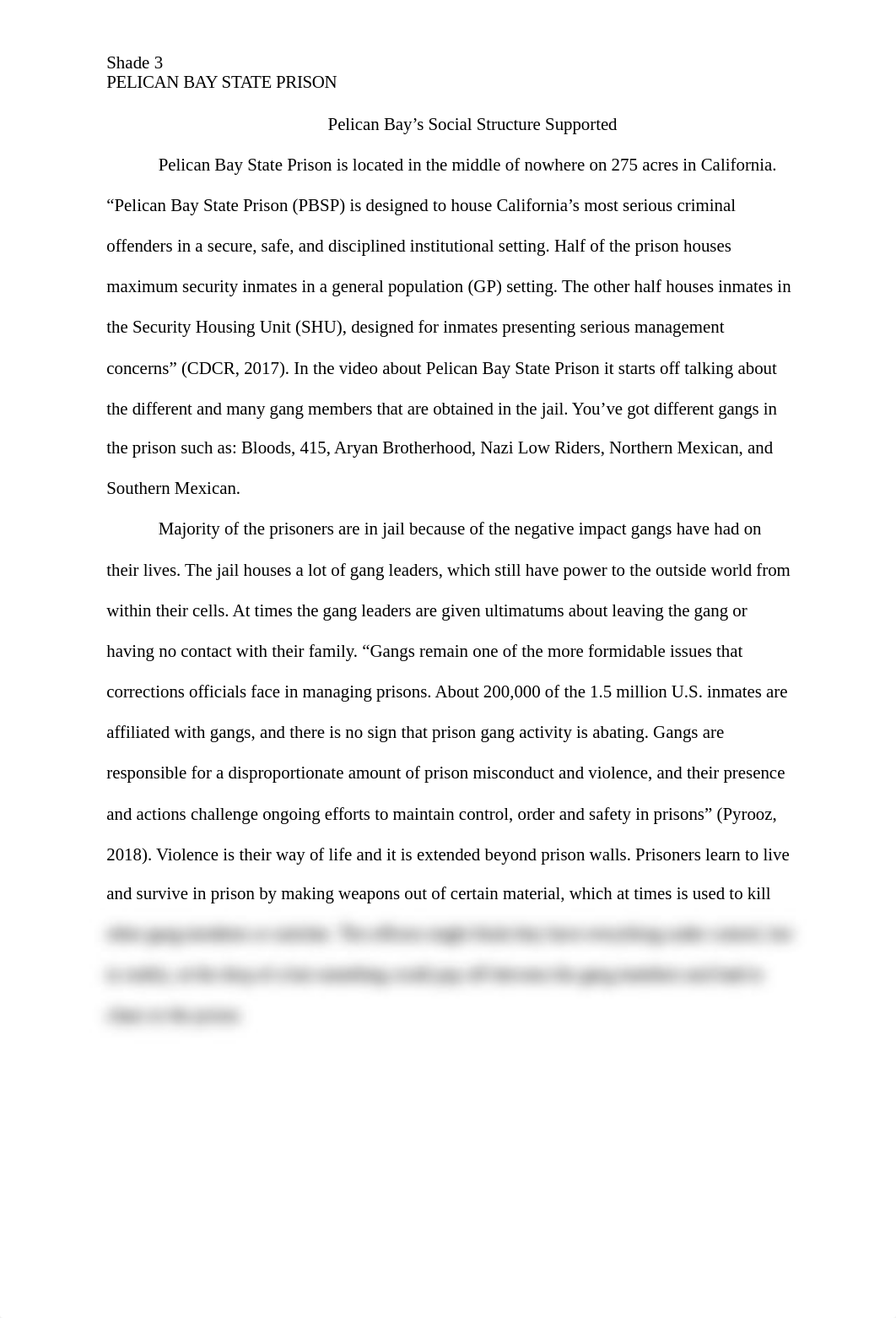 Pelican Bay State Prison.docx_d014fy6jsjh_page3