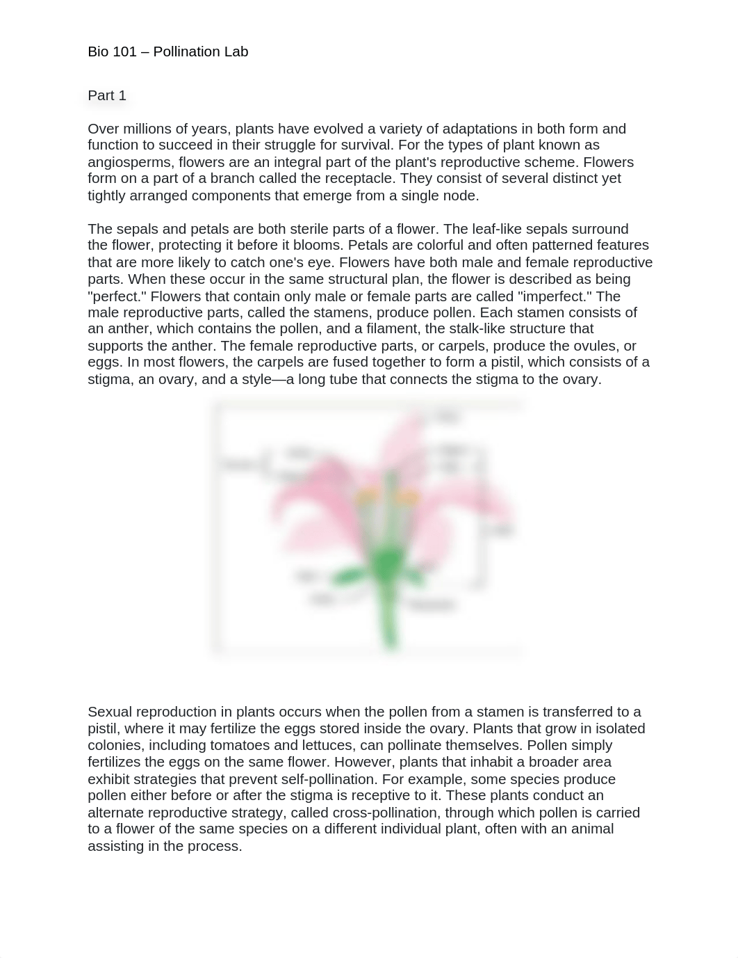 Pollination Lab (1).docx_d015b7vs80q_page1