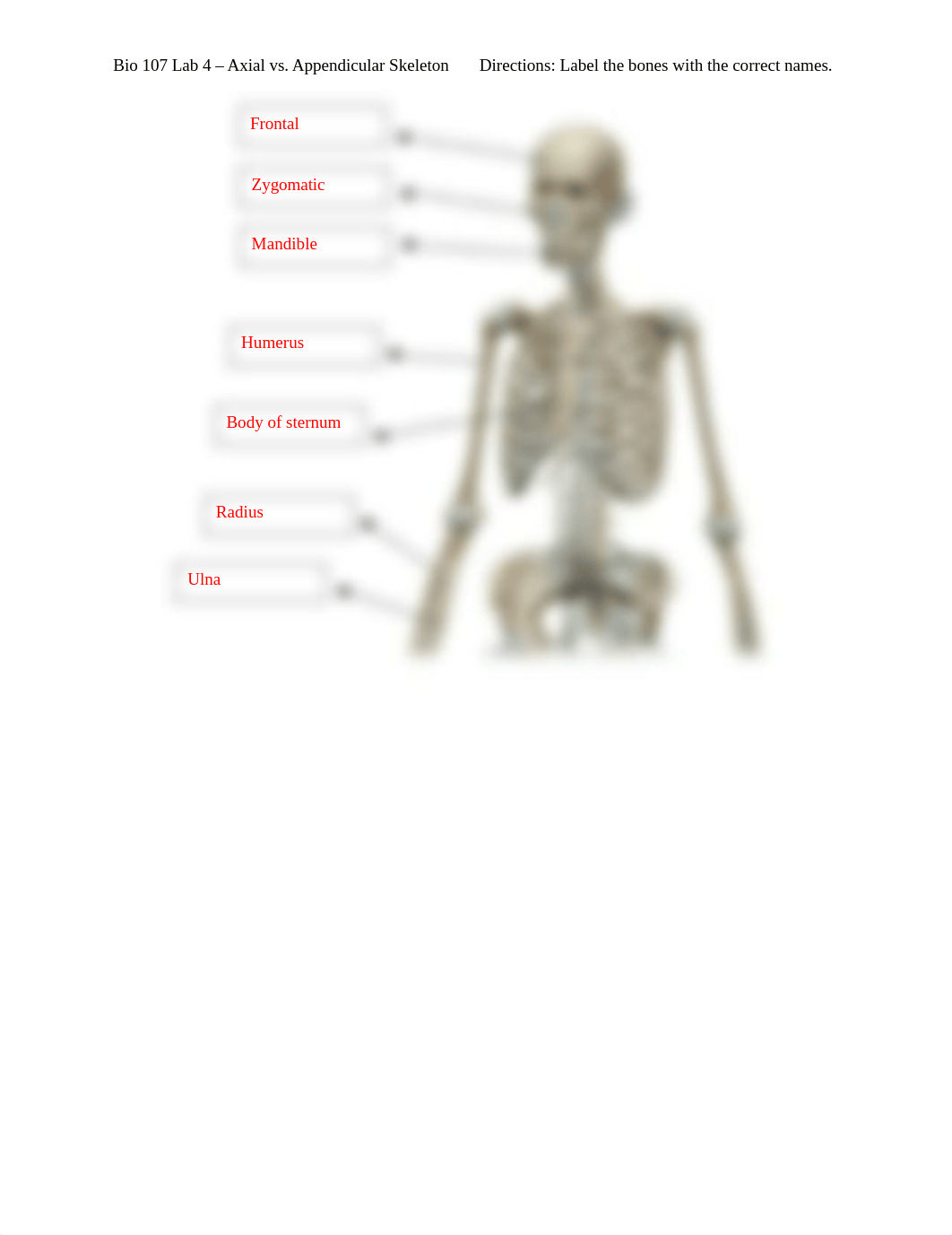 Bio 107 Lab 4 - Axial vs. Appendicular Skeleton.docx_d015nsnjkhw_page1