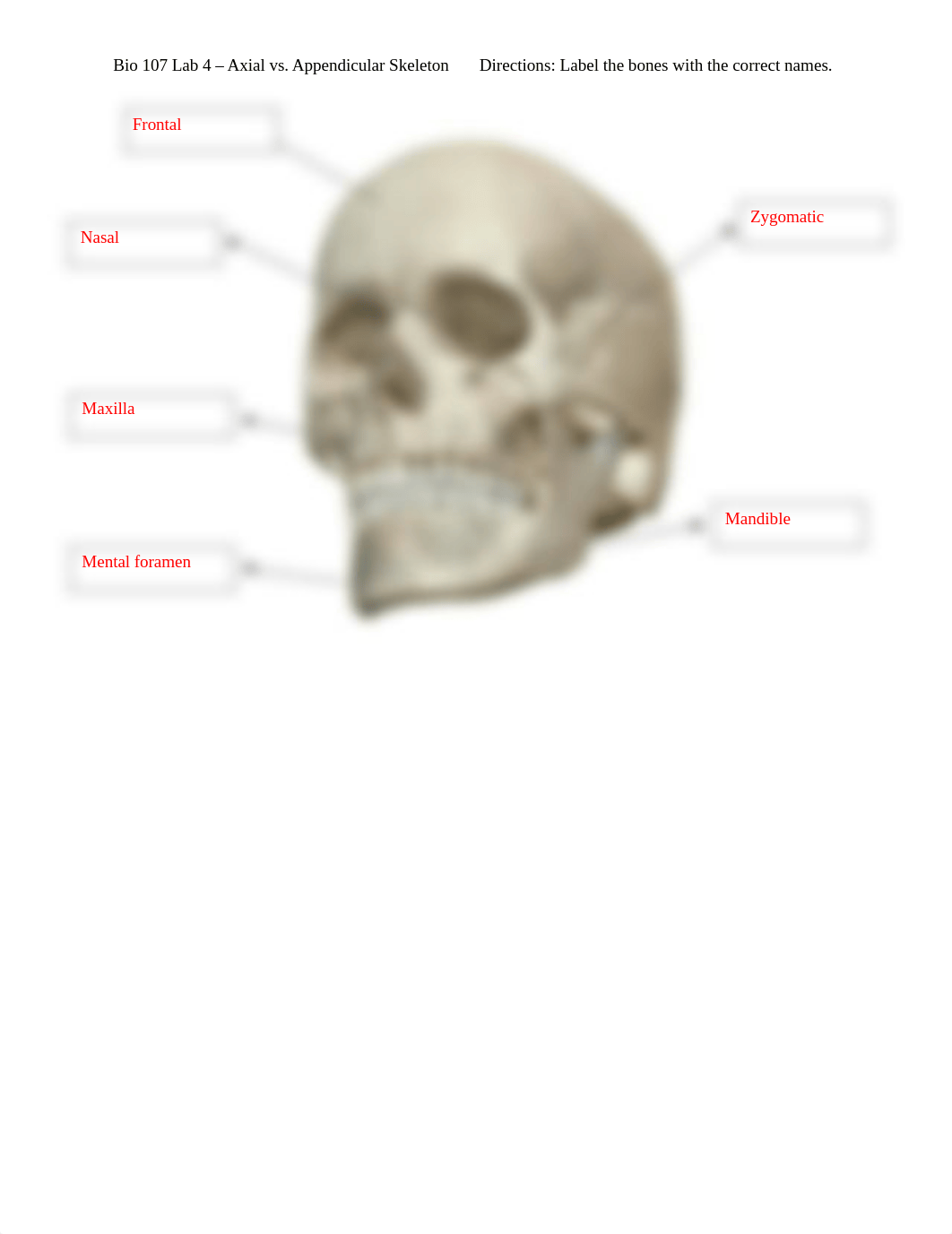 Bio 107 Lab 4 - Axial vs. Appendicular Skeleton.docx_d015nsnjkhw_page3