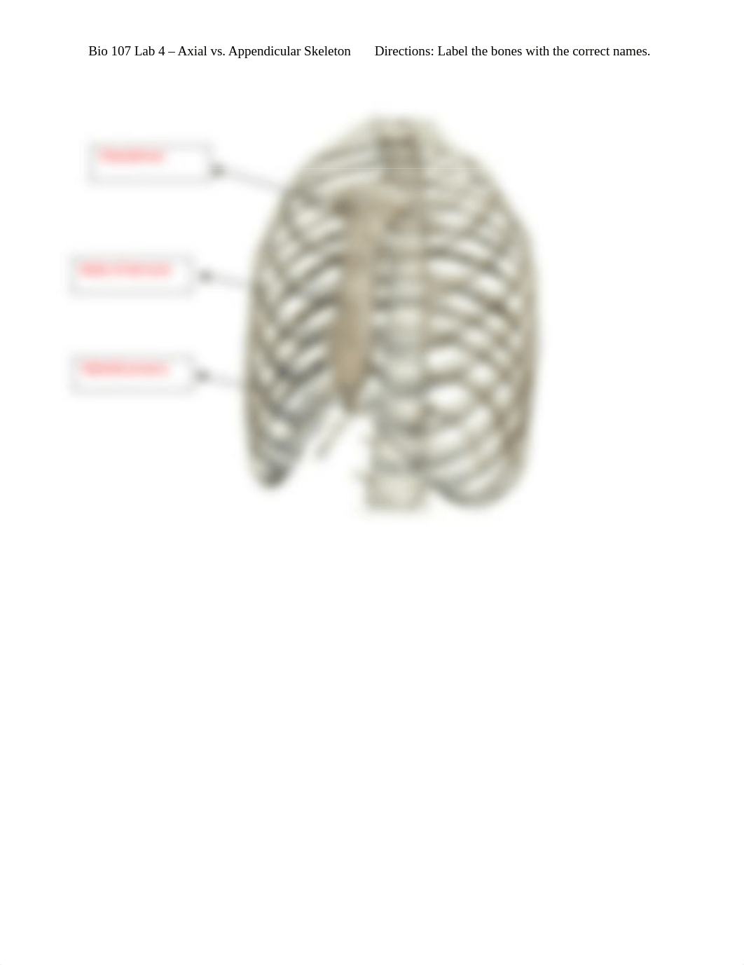 Bio 107 Lab 4 - Axial vs. Appendicular Skeleton.docx_d015nsnjkhw_page5