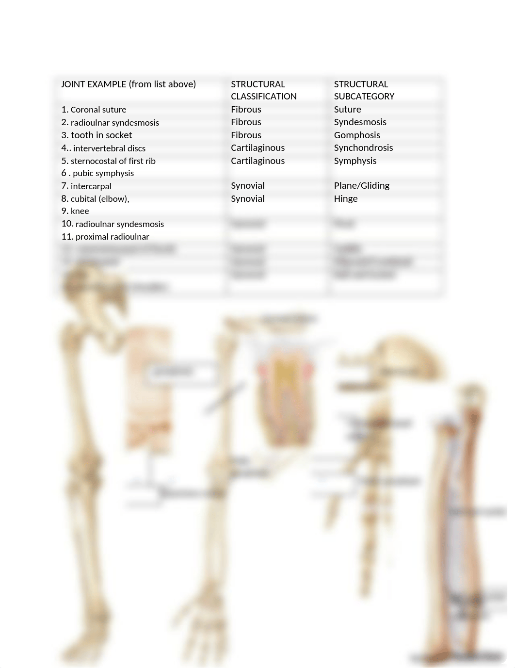 Joints Lab and Chicken Wing Dissection RD 1 (1).docx_d01ert3jvka_page1