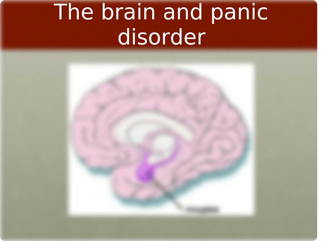 panic disorder presentation_d01oclbm82x_page4