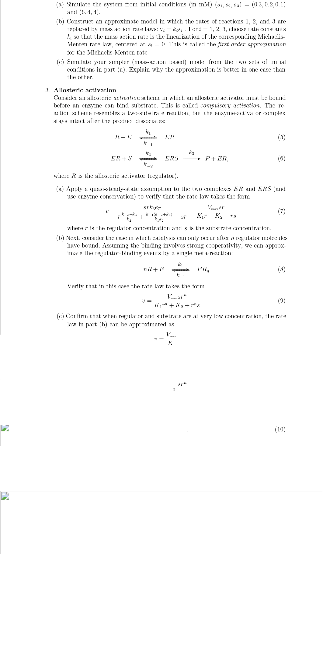 BIOL520_HW3 - Biochemical Kinetics.pdf_d01onzet2ry_page2