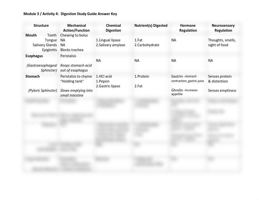 A4.Answer Key Digestion Study Guide.pdf_d01ri3gp1hg_page1