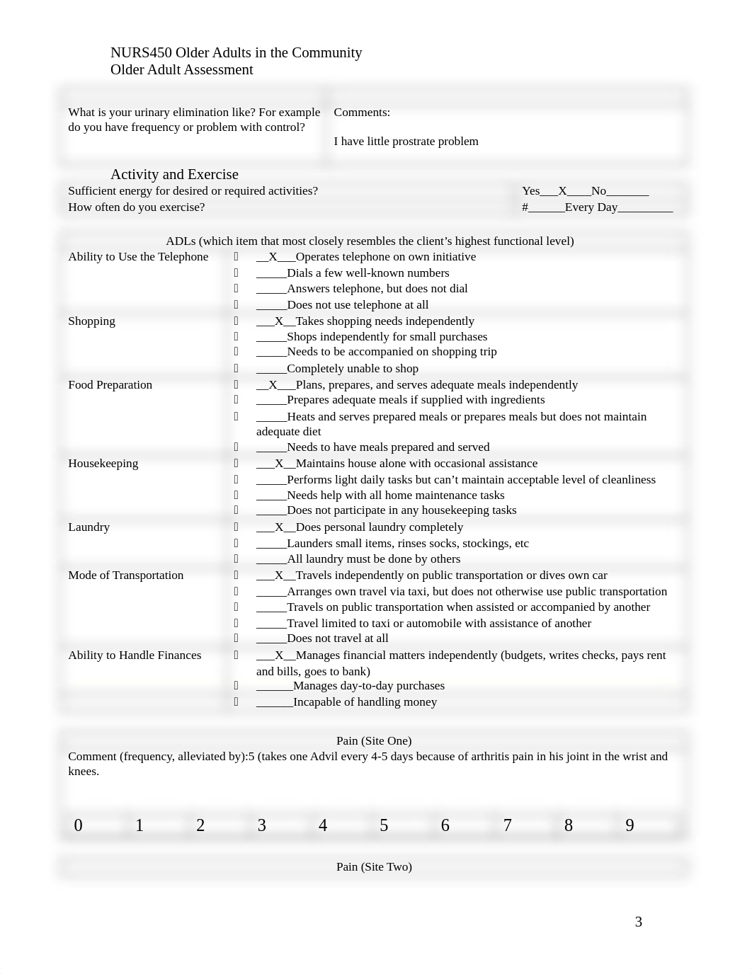 Assessment of Older Adult Ross.docx_d01tx0klvq2_page3