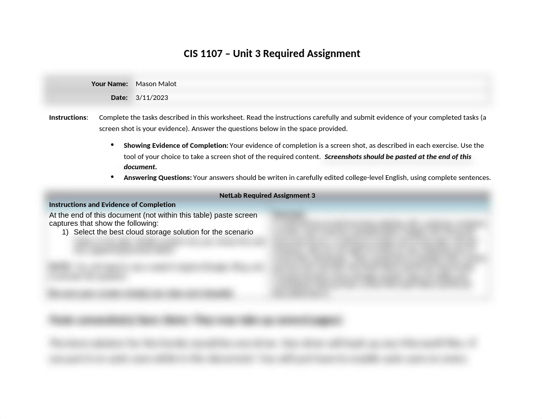 NetLab Unit 3 Required Assignment (2).docx_d01zq4xi4u4_page1