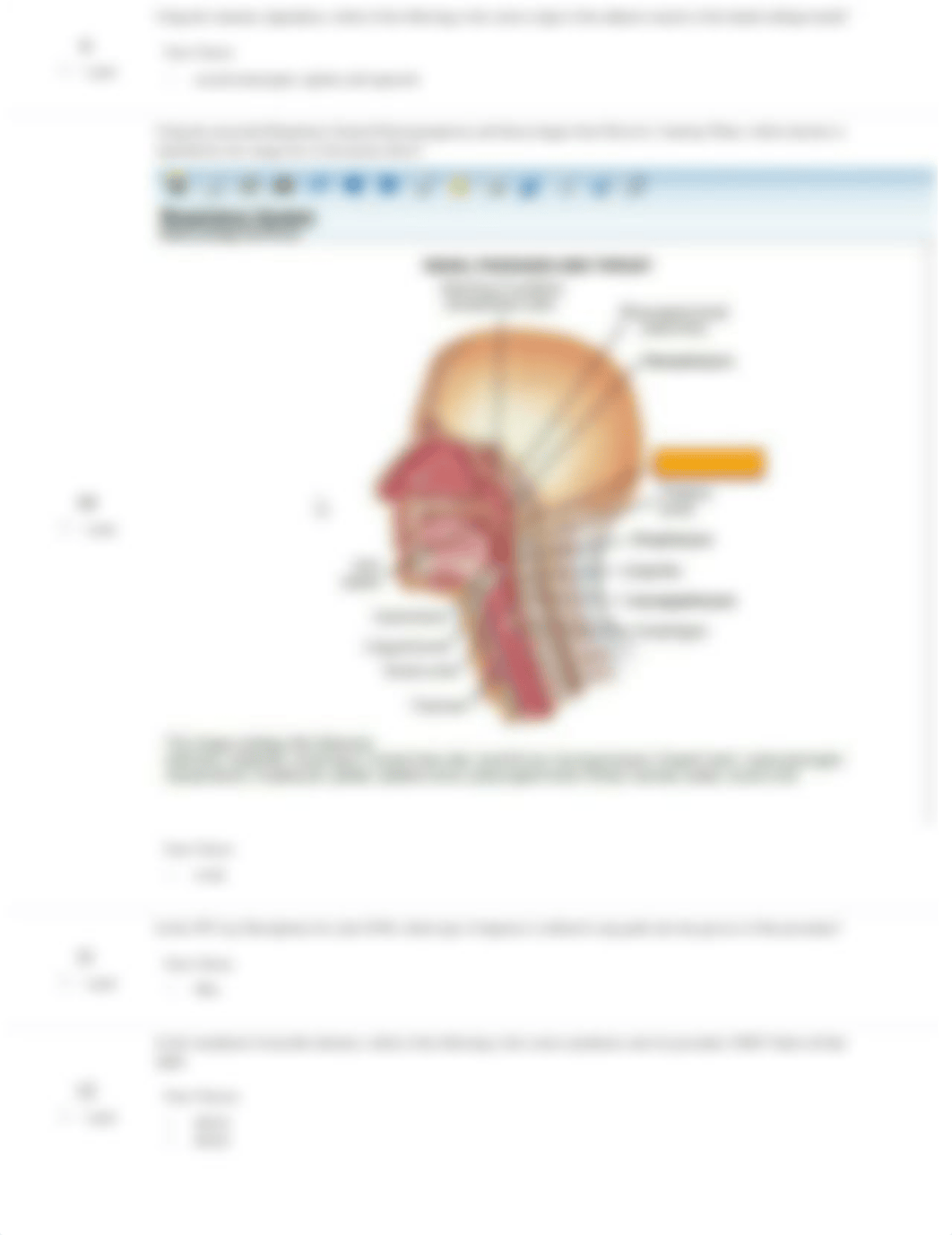 CMS References.pdf_d025jfpxzu8_page2