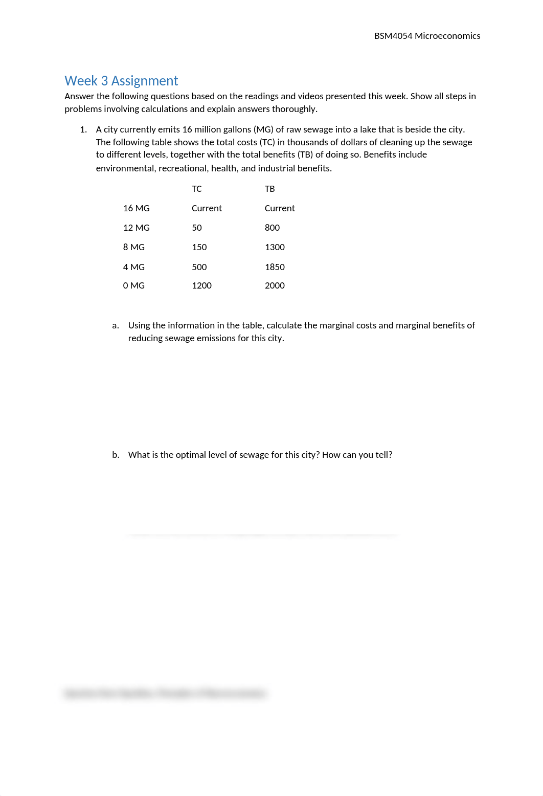 BSM4054 Week 3 Assignment (1).docx_d02ap6gqs75_page1