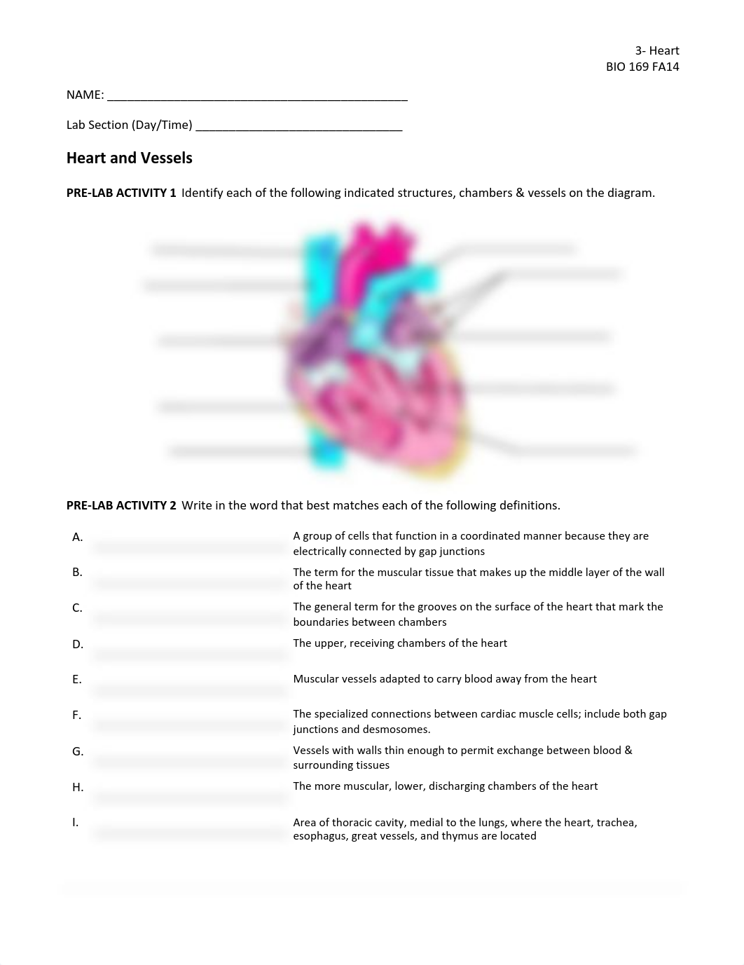 BIO 169 03-Heart and Vessels.pdf_d02h2il0t66_page1