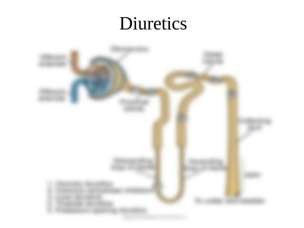 Diuretics and Fluids and Electrolytes.pptx_d02nmysdk3t_page3