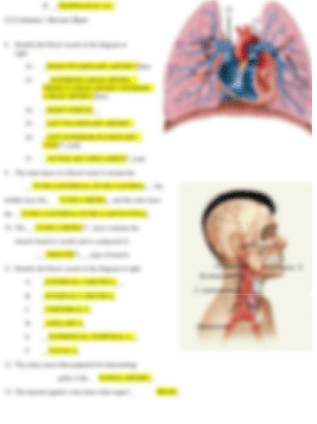 2112 Arteries 1 Review.docx_d02w5d5w8ci_page2