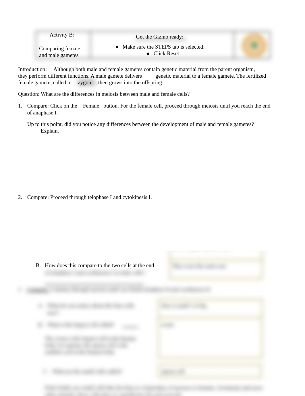 Meiosis Gizmos Guided Notes pg 4.pdf_d02xx6nf2aa_page1