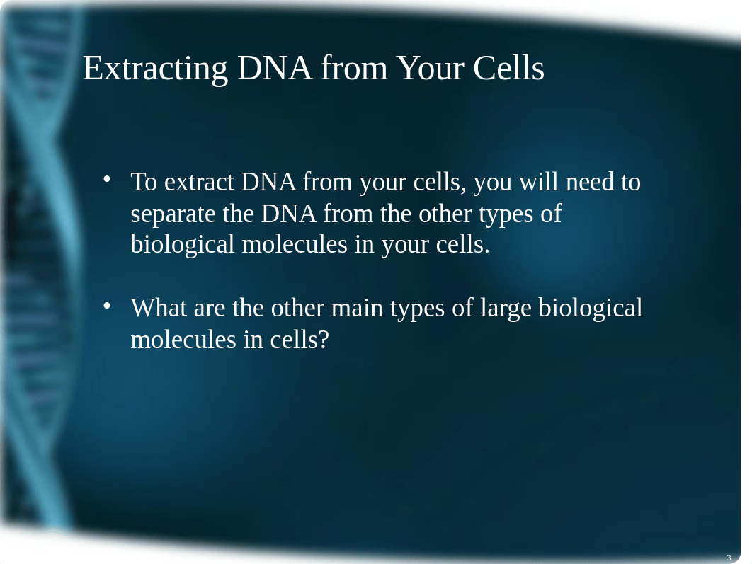 __Spring_2017___12___DNA_Cheek_Cell_Extraction.ppt_d02yumd6ljh_page3