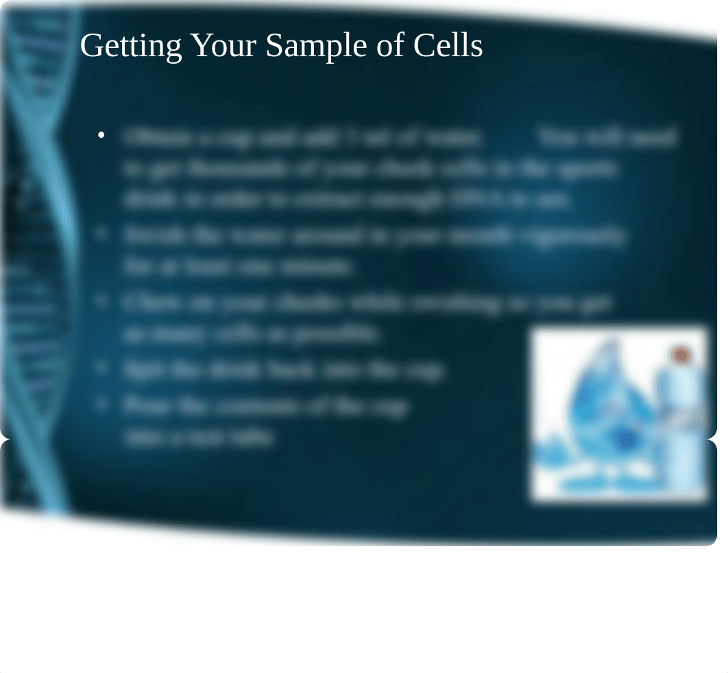 __Spring_2017___12___DNA_Cheek_Cell_Extraction.ppt_d02yumd6ljh_page5