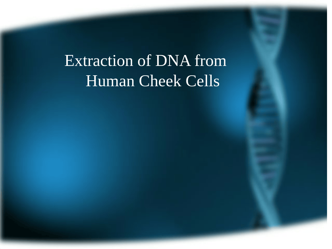 __Spring_2017___12___DNA_Cheek_Cell_Extraction.ppt_d02yumd6ljh_page1