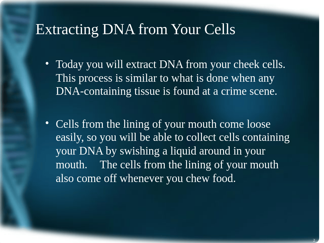 __Spring_2017___12___DNA_Cheek_Cell_Extraction.ppt_d02yumd6ljh_page2