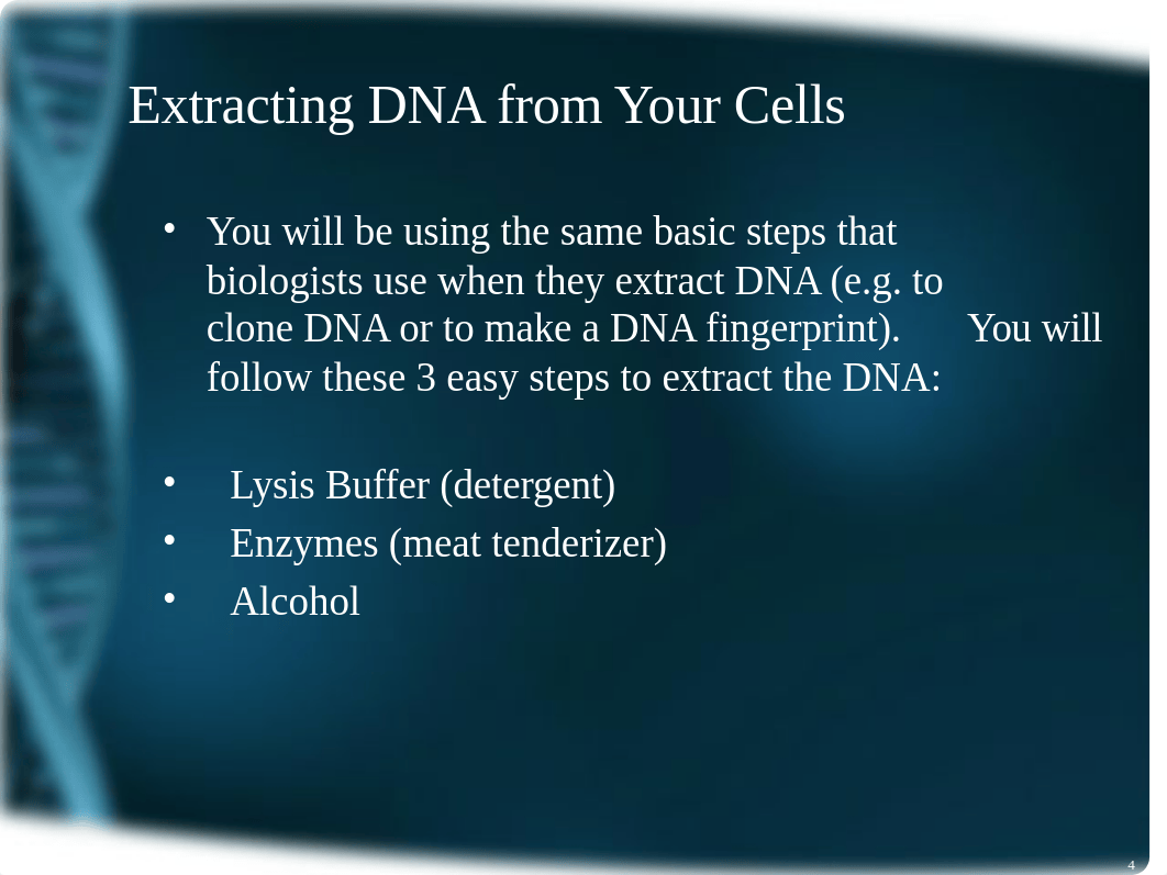 __Spring_2017___12___DNA_Cheek_Cell_Extraction.ppt_d02yumd6ljh_page4