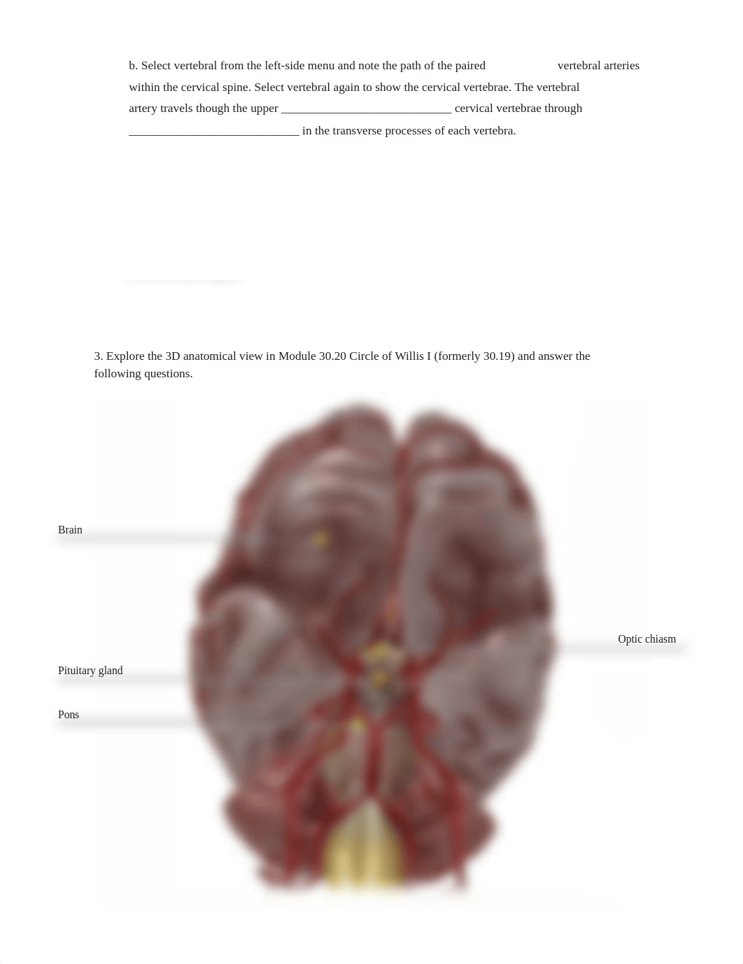 blood vessels part 2.pdf_d030tdk4cy6_page5