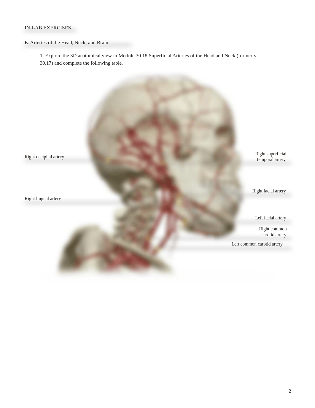 blood vessels part 2.pdf_d030tdk4cy6_page2