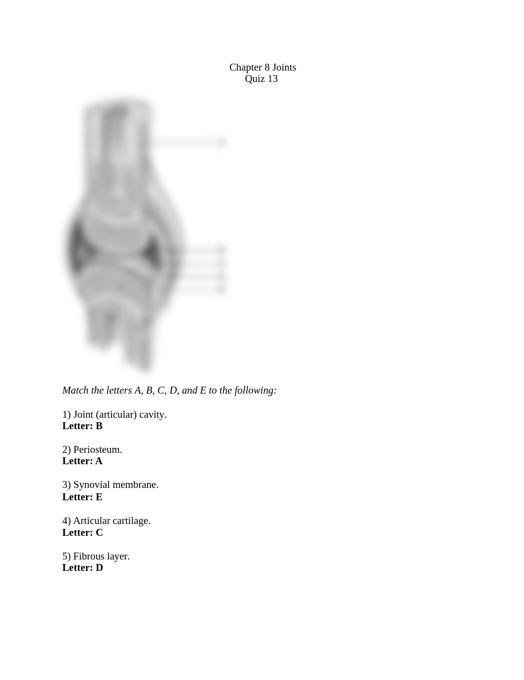 Ch. 8 Quiz 13 Joints.docx_d032tetn9uf_page1