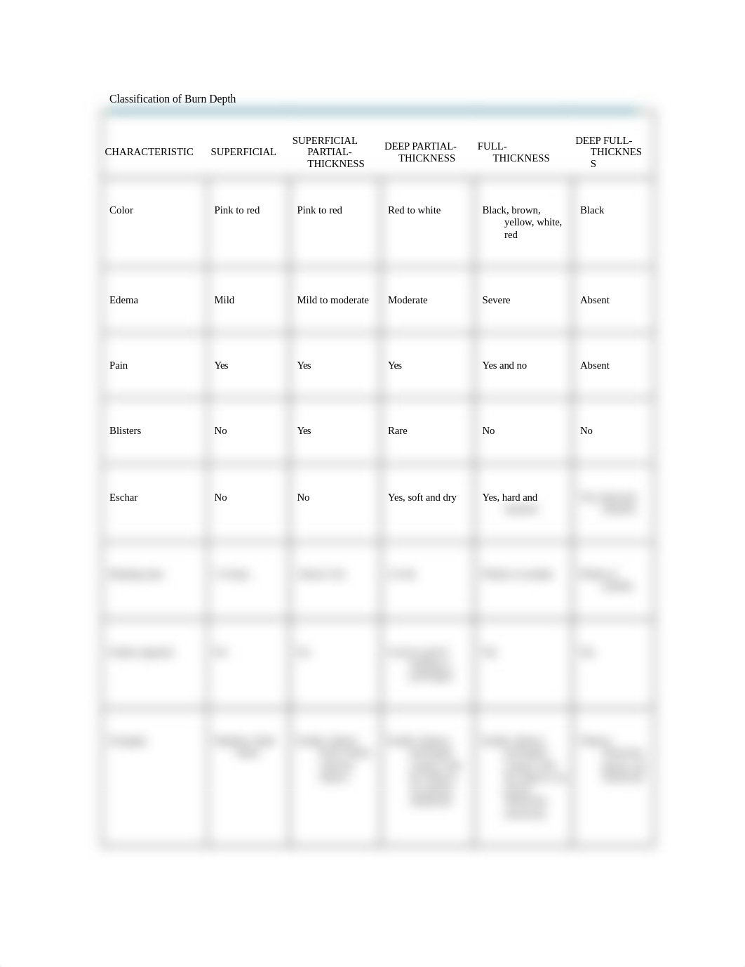 Classification of Burn Depth.docx_d036ho6k16b_page1