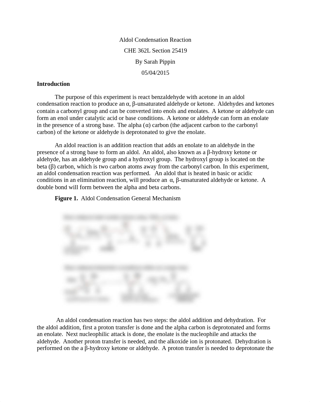 Aldol Condensation Reaction Sarah Pippin_d037ev3a4rr_page1