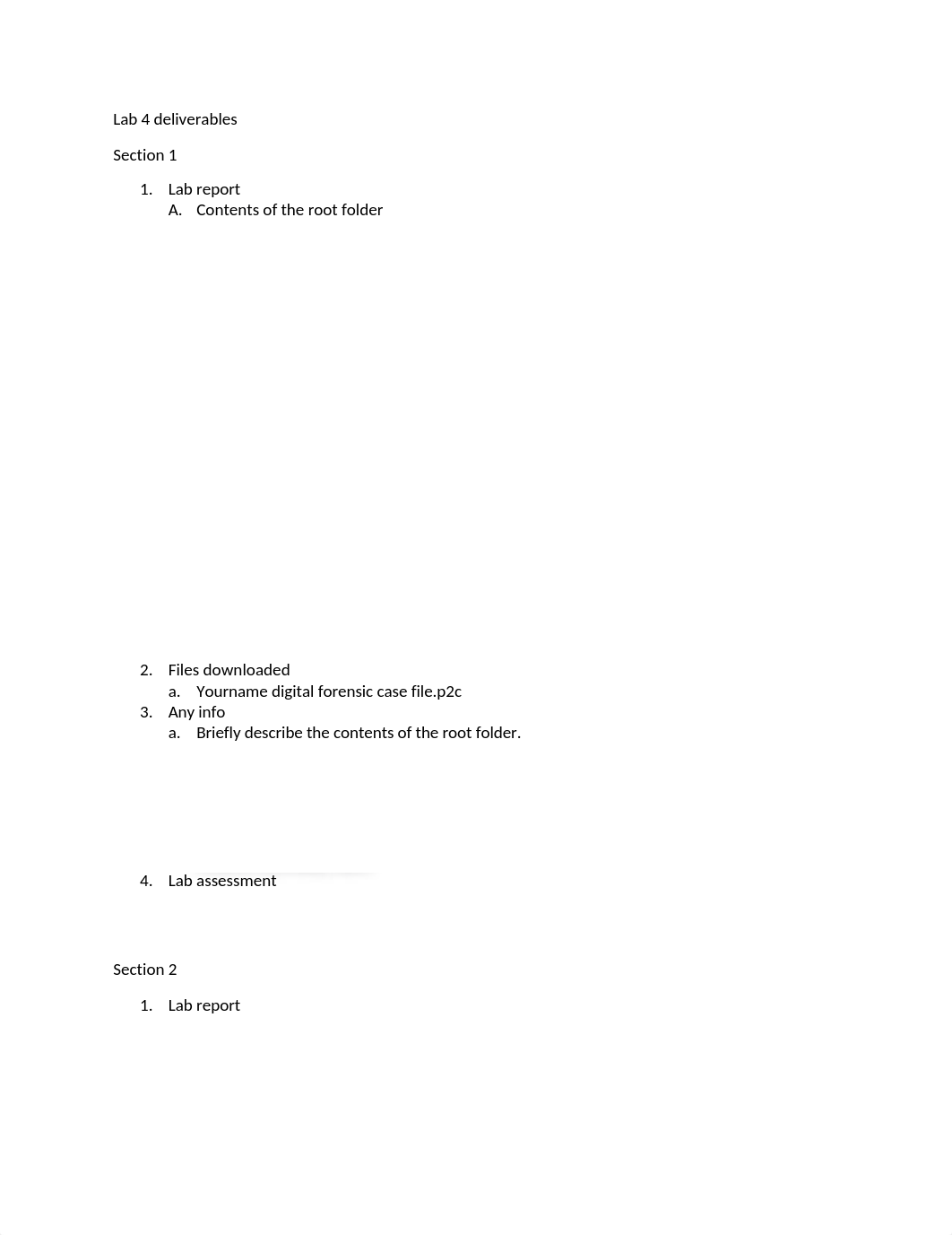 Lab 4 deliverables.docx_d039dvwt06v_page1