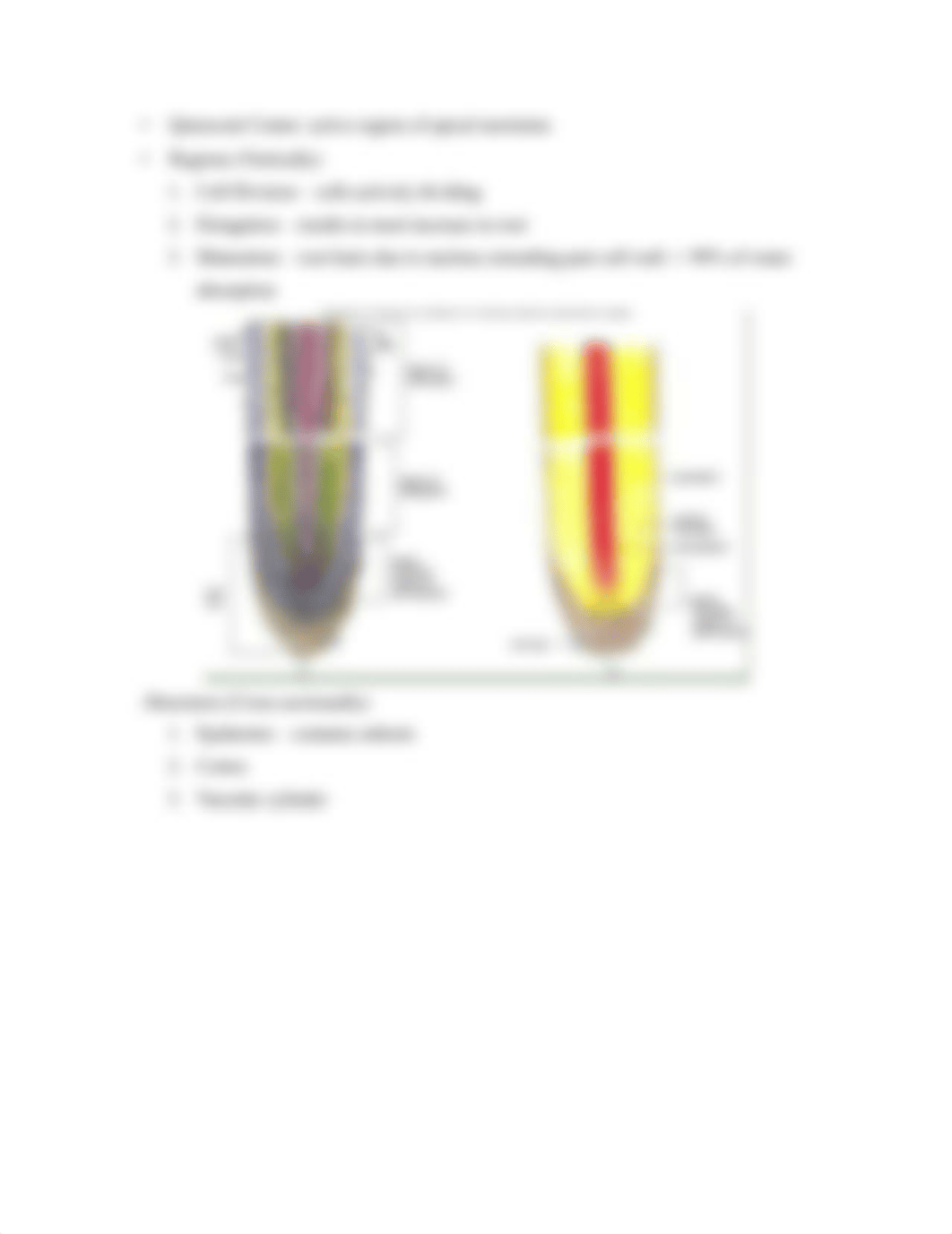 Study Guide for Test 2_d03b19q62ak_page4