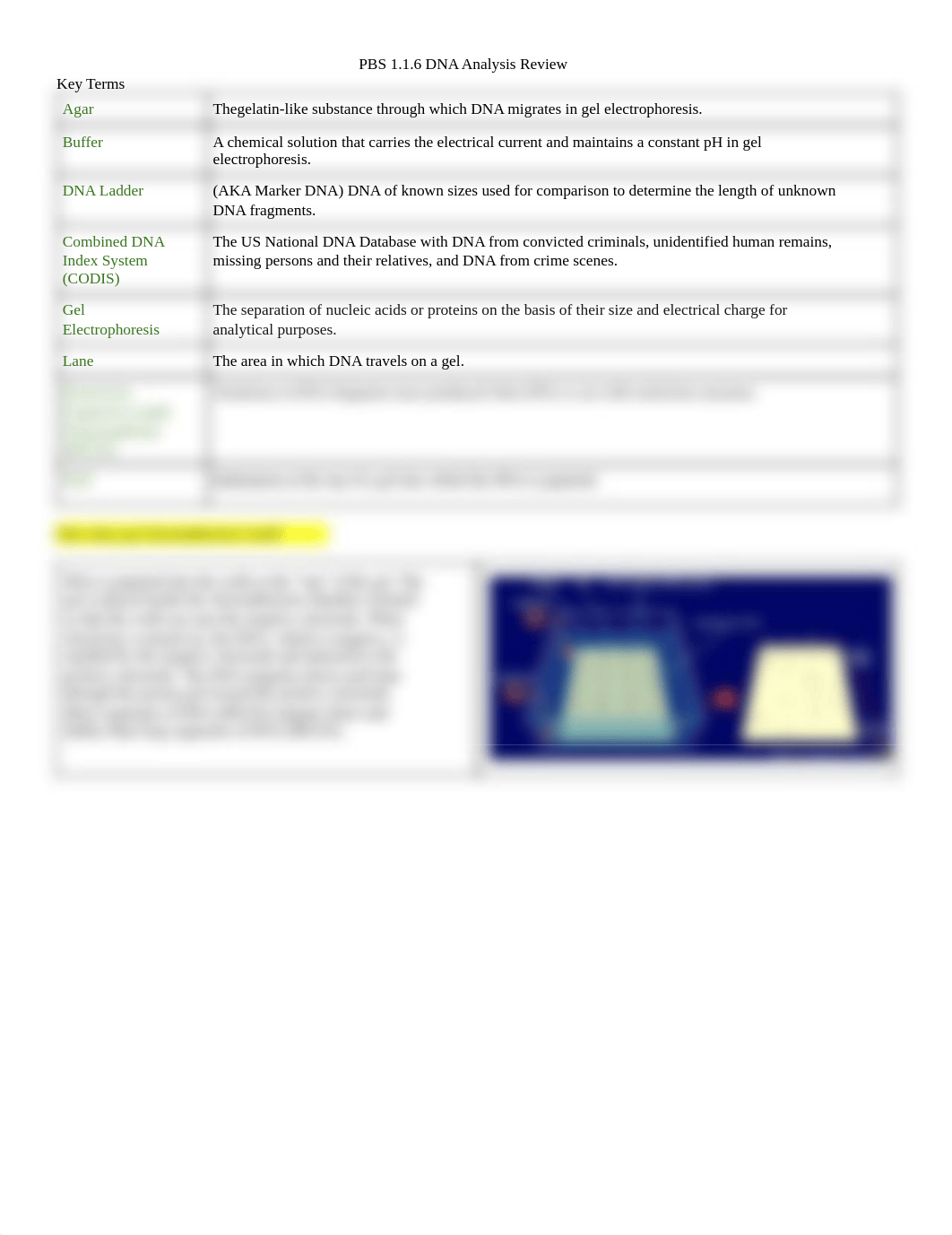 Copy of 1.1.6 DNA Analysis Review.pdf_d03fm0hycfu_page1