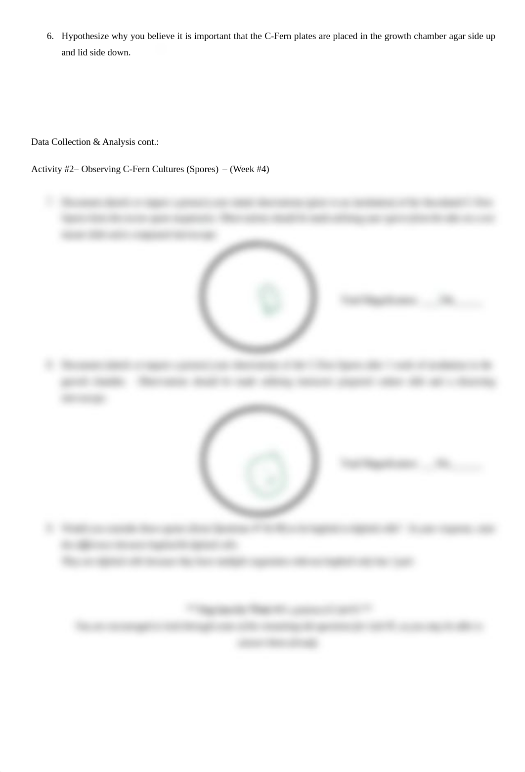 Lab Worksheet #2 (covering Lab #3 & #4)1.pdf_d03k5xfejno_page2