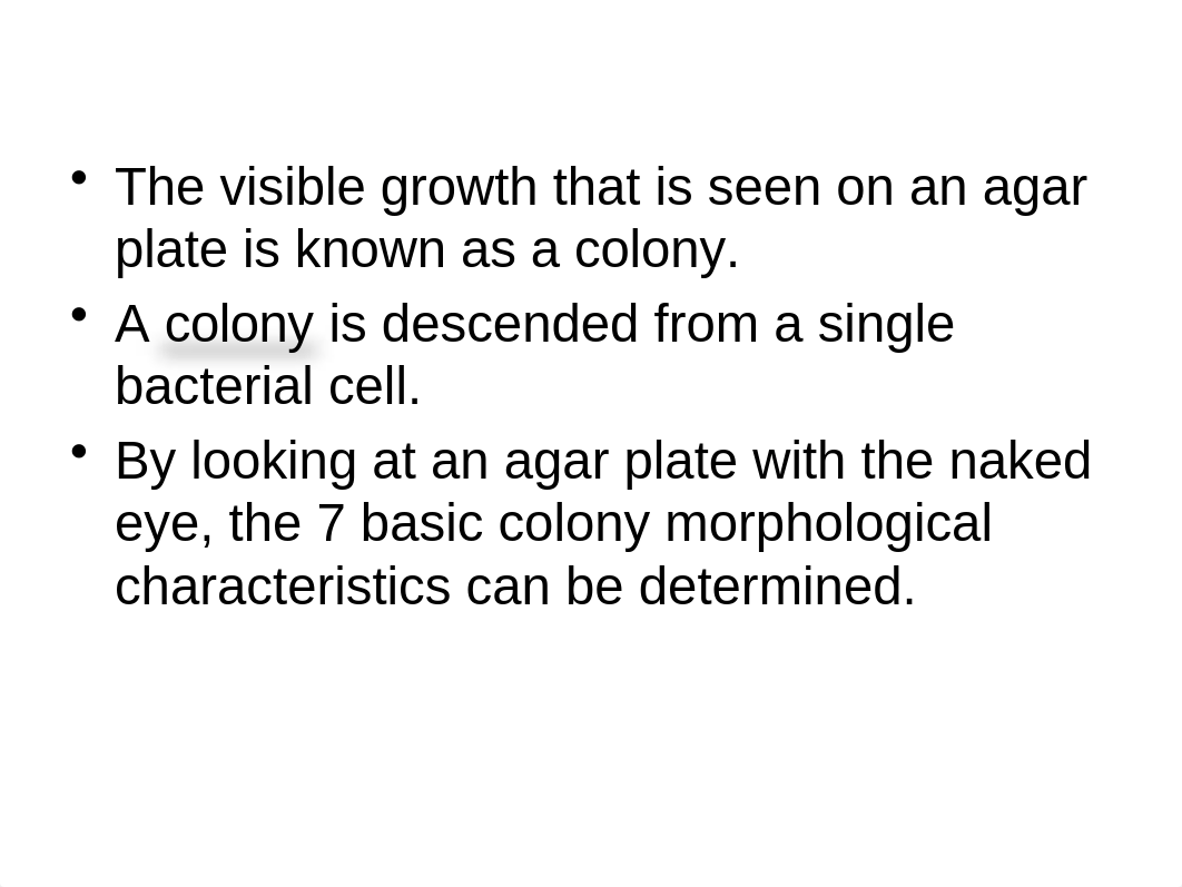 Colony Morphology and Gram Stain.pptx_d03m1lf9iin_page2