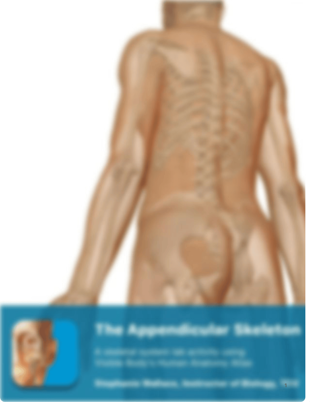 lab manual_appendicular_skeleton_atlas EP.pdf_d03zyj38bax_page1