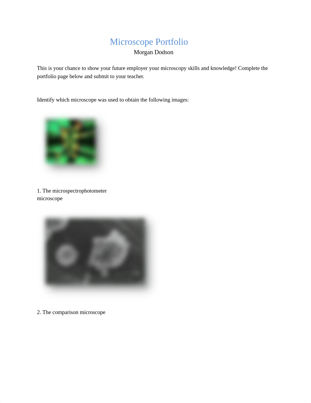 MicroscopePortfolio.docx_d045vn7vmi3_page1