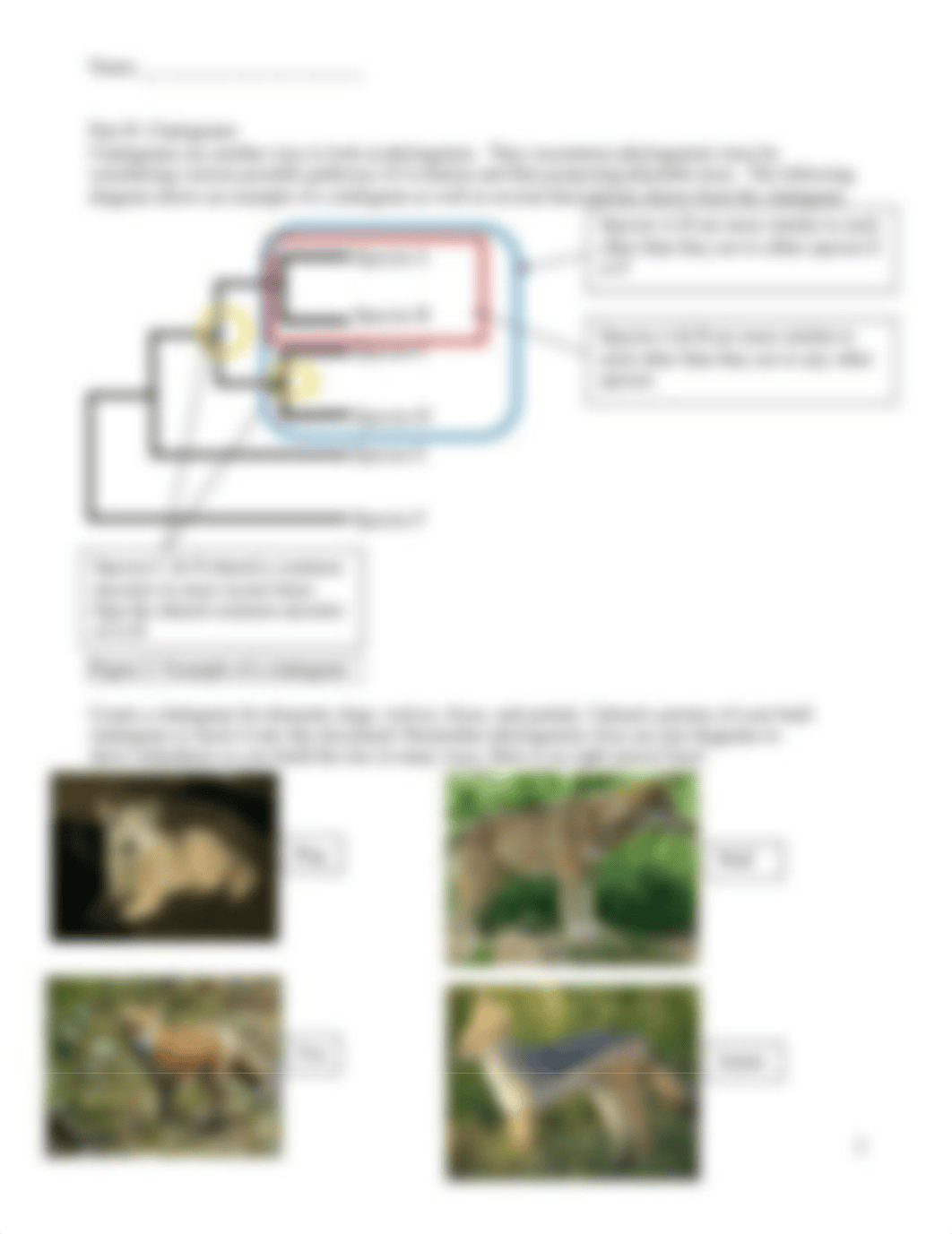 Phylogeny_CASESTUDY_homework (1).doc_d046mqp8g7y_page2