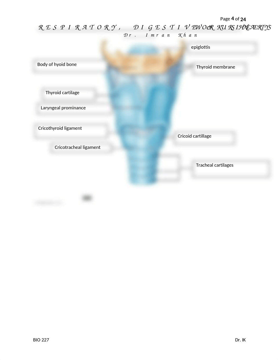 07. RESPIRATORY, DIGESTIVE, URINARY SYSTEM LABELING WORKSHEETS - Jake Camarillo.docx_d04e5cd8on6_page4