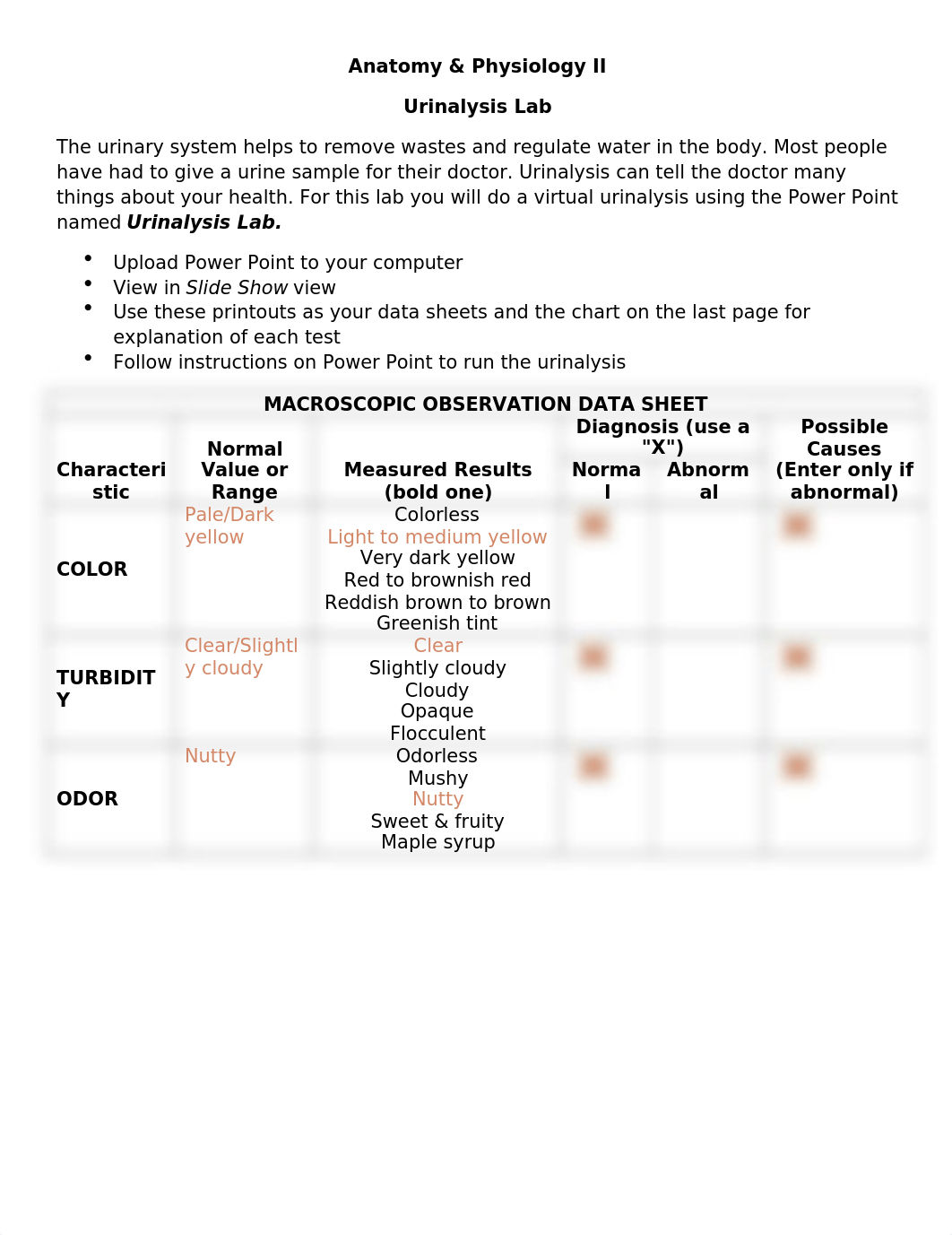 Week 17 L2 ✨.docx_d04m4i3zgci_page1