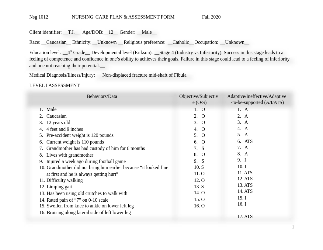 Care Plan w Assessment Form F 2020.docx_d04s5dqra85_page1