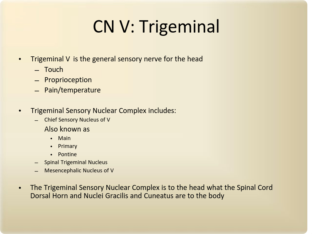 611 Trigeminal Nuclei and Sensory Pathways MORRIS-WIMAN (1).pdf_d050wz78h04_page2