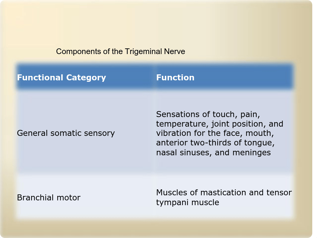 611 Trigeminal Nuclei and Sensory Pathways MORRIS-WIMAN (1).pdf_d050wz78h04_page3