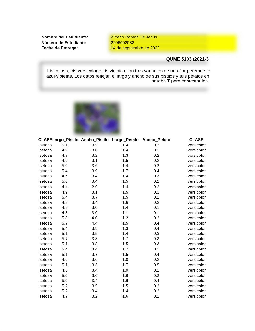 Uso de pruebas T-Tarea 4.1Ecxel.xls_d0599g4q2we_page1