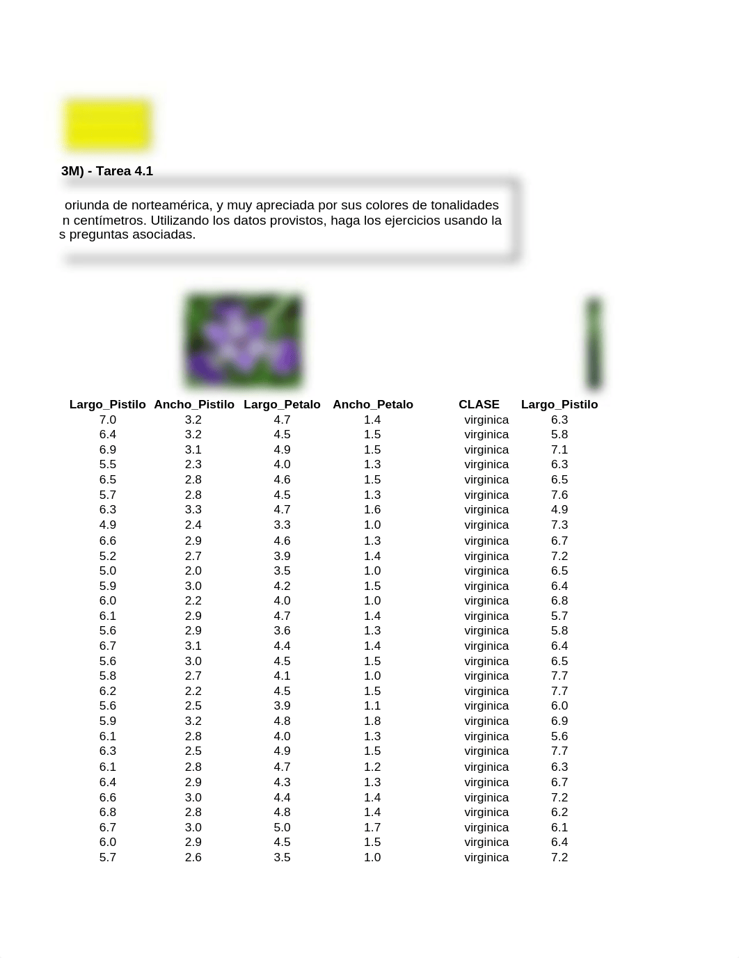 Uso de pruebas T-Tarea 4.1Ecxel.xls_d0599g4q2we_page3