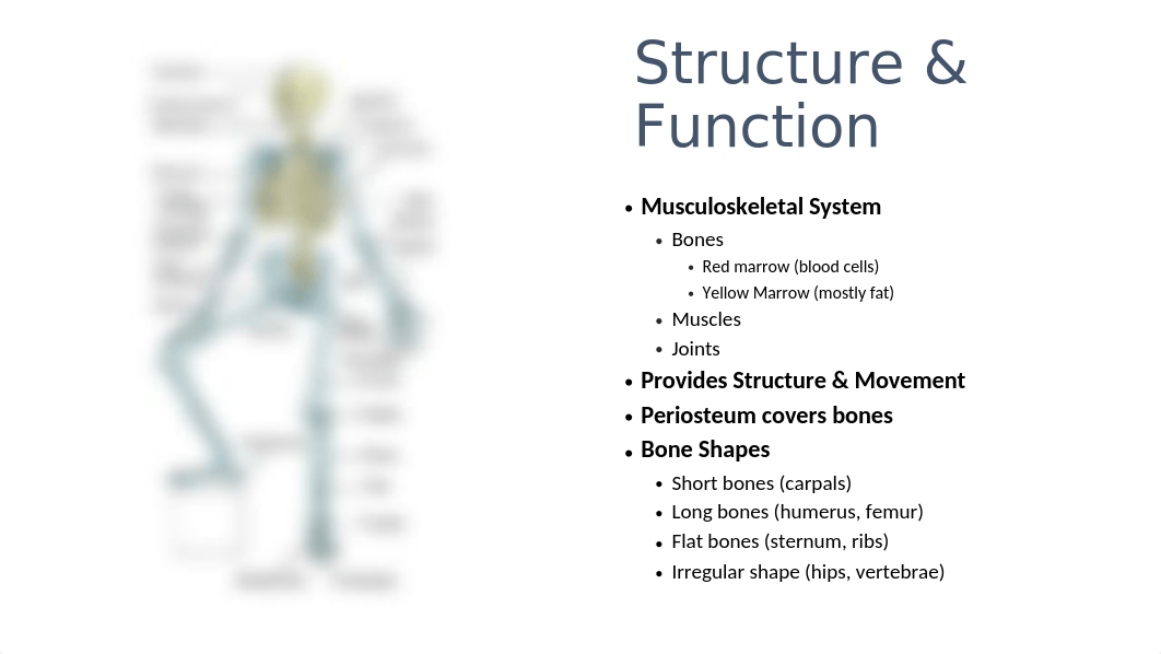 Students-Assessing.Musculoskeletal.System.pptx_d05exkfkcd9_page2